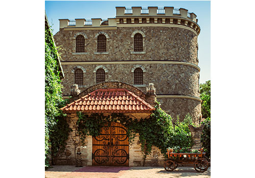 Chateau Cojusna