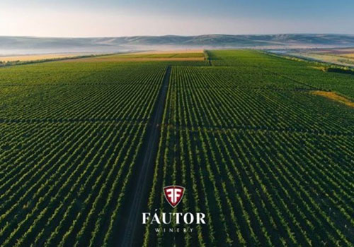 Fautor Winery